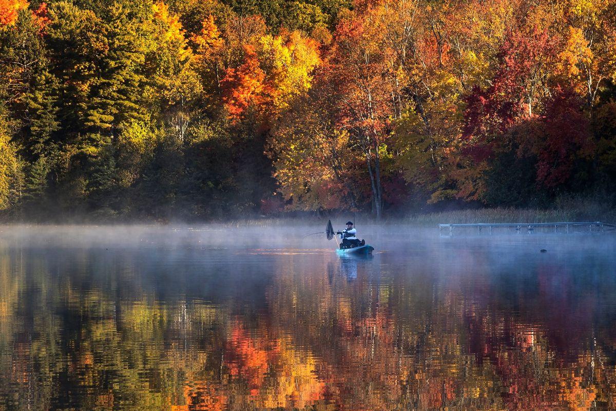 The Ultimate Fall Fishing Guide: Tips, Tactics & Gear for Autumn Anglers